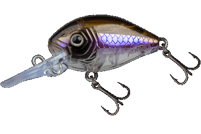 Crankbait Fishus Assault Crank Tight 4cm coloración Flashy Shad brillante
