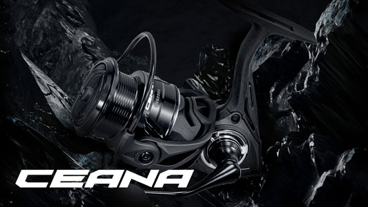 Carrete spinning Major Craft Ceana serie completa 1000, 2500, 3000 y 4000HG comparativa